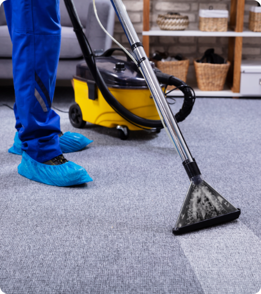 Carpet Cleaners