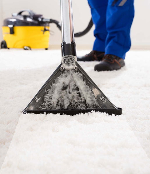 Carpet Cleaning Services 